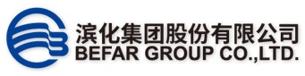 滨化